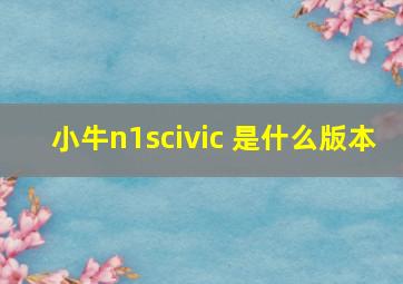 小牛n1scivic 是什么版本